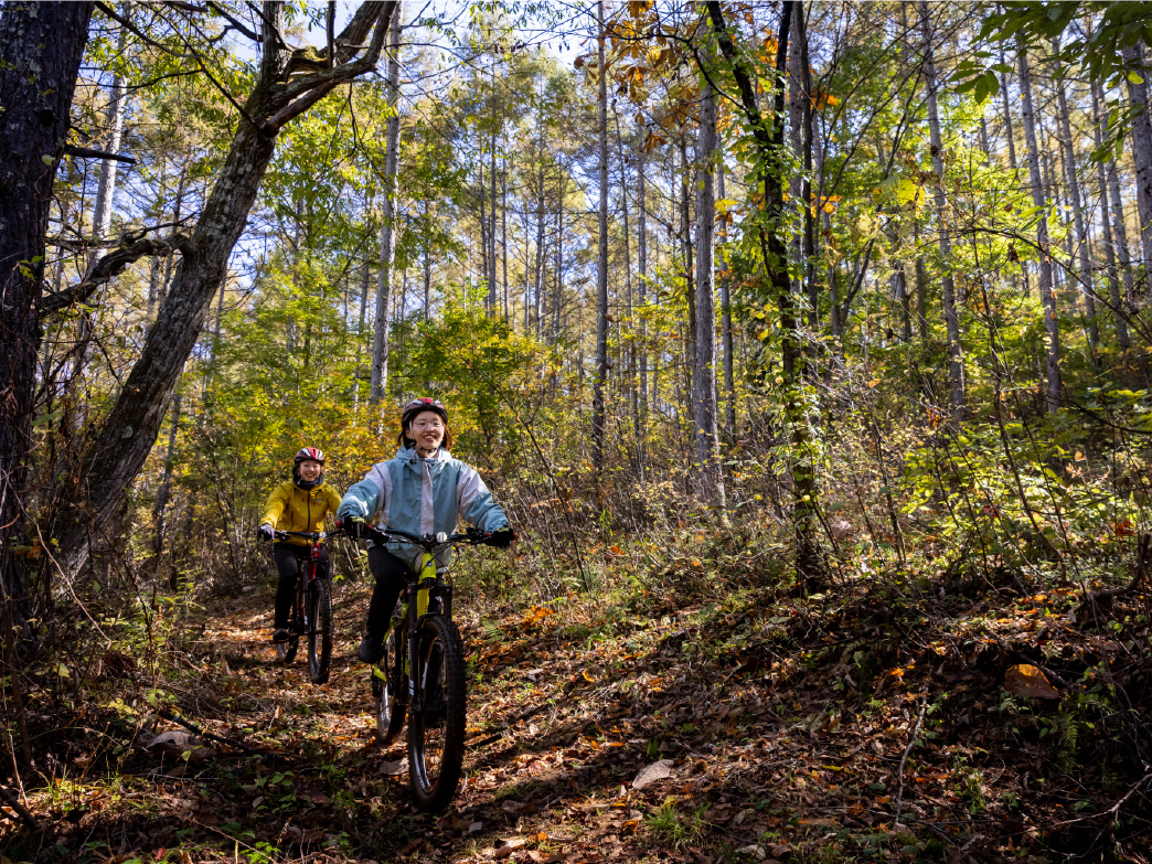 サイクリングの様子